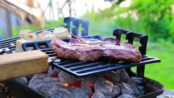 Barbecue Con Carne Verdure — Video Stock