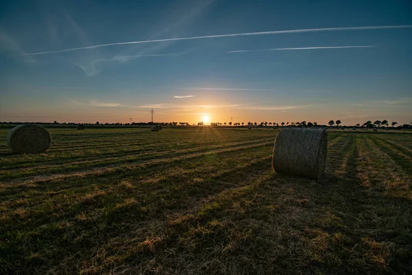 Close Rolo Feno Campo Agrícola Entardecer — Fotografia de Stock