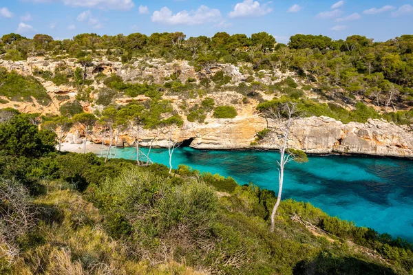 Een Prachtig Uitzicht Kust Naast Calo Des Moro Strand Mallorca — Stockfoto