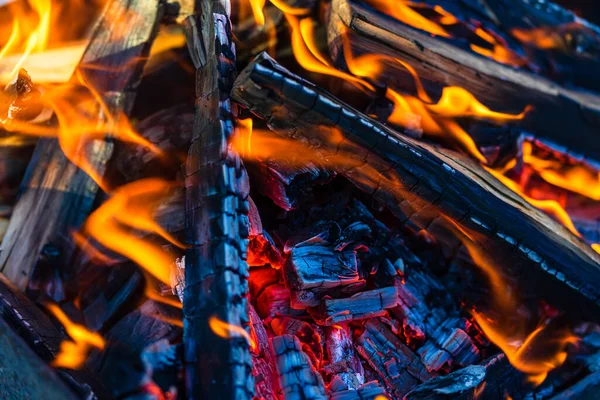 Barbeküye Hazırlanmak Için Yüksek Açılı Odun Kırıntıları — Stok fotoğraf