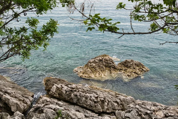 Naturaleza Costa Krk Island Croacia — Foto de Stock