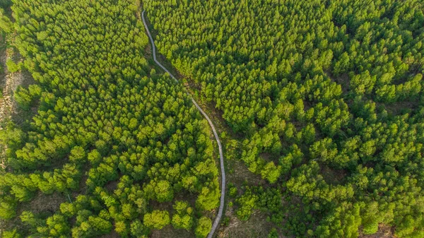 Вид Воздуха Район Эйфелевой Башни Недалеко Зиммерата Германия — стоковое фото