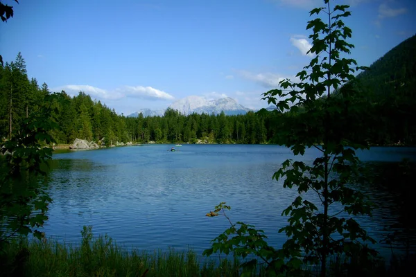 Landscape Lake Surrounded Greenery Sunlight Blue Sky Countryside — Stock Photo, Image