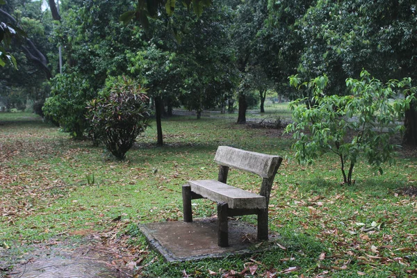 Een Prachtig Shot Van Een Houten Bank Het Park — Stockfoto