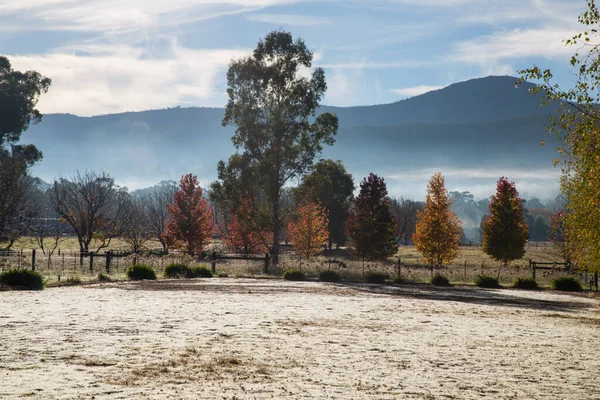 秋の青空の下 山に囲まれた美しい風景 — ストック写真