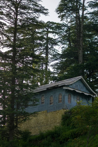 Egy Öreg Kék Faház Amit Magas Fák Vesznek Körül Erdőben — Stock Fotó