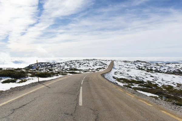 Длинная Дорога Между Полями Покрытыми Белым Снегом — стоковое фото