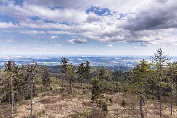 Paysage Forestier Avec Ciel Bleu Autriche Frontière Avec Hongrie — Photo