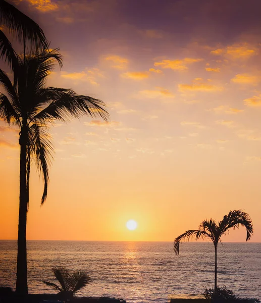 Una Puesta Sol Dorada Playa Mazatlán México — Foto de Stock
