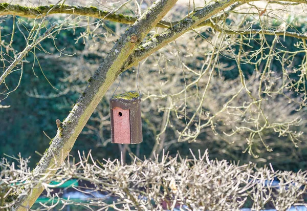 Enfoque Selectivo Una Pajarera Colgando Del Árbol — Foto de Stock