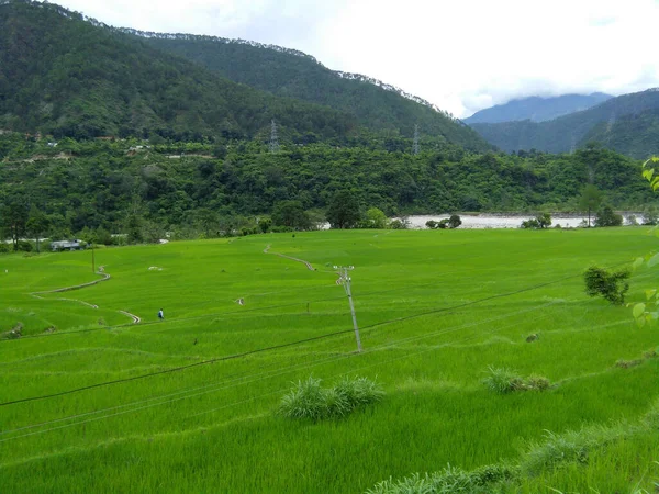 Festői Kilátás Nyílik Zöld Hegyek Gyep Észak Indiában Hegység Himalája — Stock Fotó