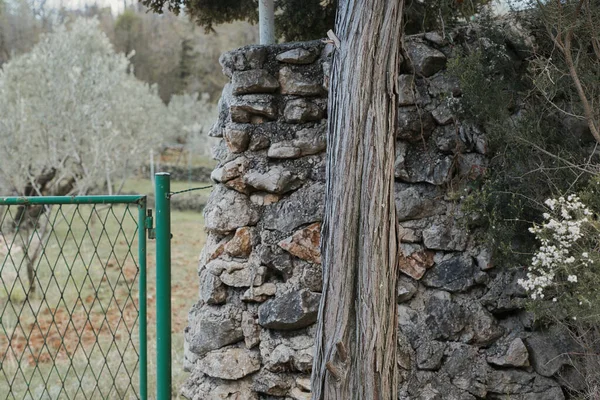 Vakantie Details Kroatië Krk Eiland — Stockfoto