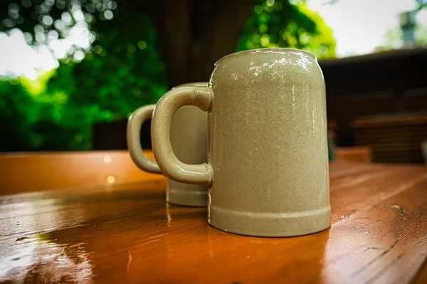 Bière Fraîche Dans Jardin Traditionnel Bavarois — Photo