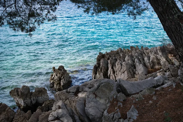 Natura Sulla Costa Sull Isola Krk — Foto Stock
