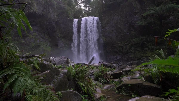 Ein Schöner Wasserfall Der Durch Einen Üppig Grünen Wald Fließt — Stockfoto