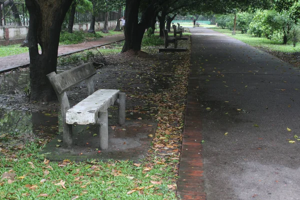 公園内の木製のベンチの美しいショット — ストック写真