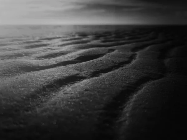 沙质景观的灰度选择性焦点拍摄 — 图库照片