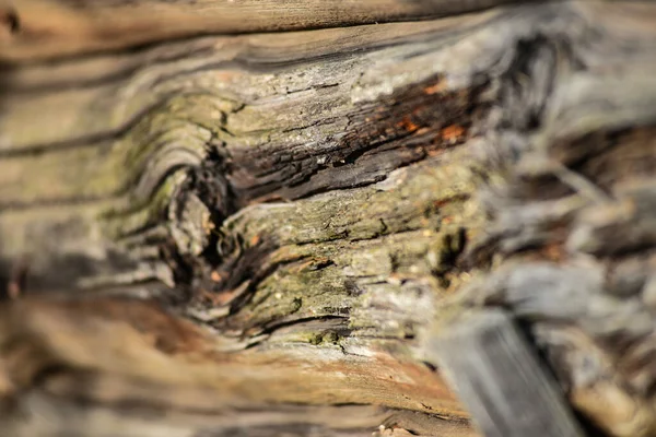 Stare Drewniane Tło Tekstury Ściany — Zdjęcie stockowe