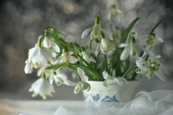 Крупним Планом Знімок Красивих Квітів Снігу Вазі — стокове фото