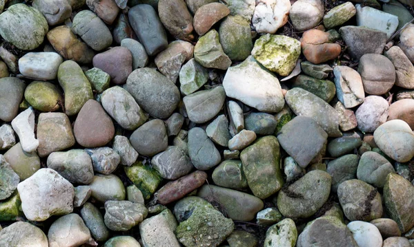 Nahaufnahme Von Steinen Auf Dem Boden Natürliches Hintergrundkonzept — Stockfoto