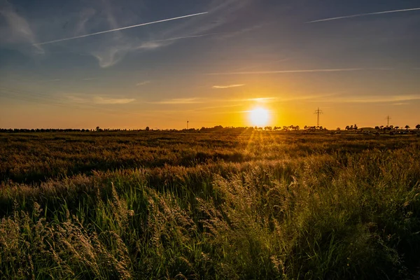 Schöner Sonnenuntergang Über Den Landwirtschaftlichen Feldern — Stockfoto