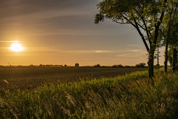 Landschaftlich Reizvoller Sonnenuntergang Über Der Agrarlandschaft — Stockfoto