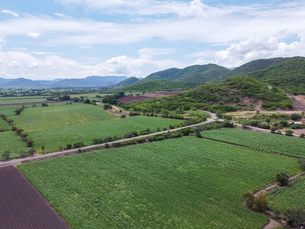 Eine Luftaufnahme Von Zuckerrohrfeldern Autlan Tal Von Navarro Jalisco Mexiko — Stockfoto