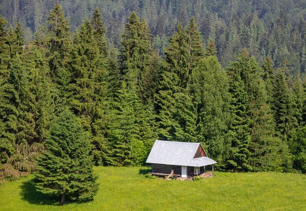Berglandschap Met Een Huisje Buurt Van Het Bos — Stockfoto