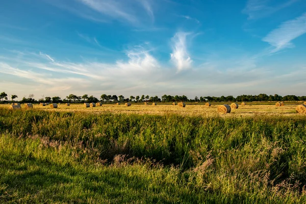 Een Landelijk Tafereel Met Hooibalen Het Landbouwveld Een Zonnige Dag — Stockfoto