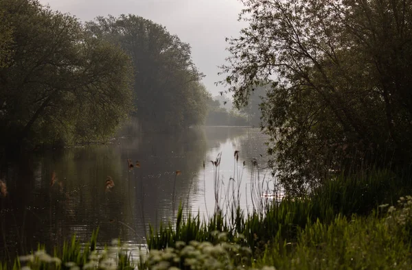 Bellissimo Scenario Fiume Riflettente Circondato Alberi Sotto Cielo Nebbioso — Foto Stock