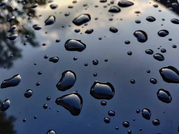 Closeup Raindrops Glass Reflecting Trees — 스톡 사진