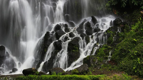Водоспад Острова Сан Мігель Оточений Камінням Покритим Зеленню Азорських Островах — стокове фото