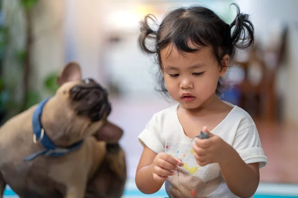 Een Schattig Aziatisch Vrouwelijk Kind Spelen Met Haar Franse Bulldog — Stockfoto