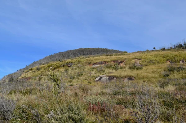 Вид Склон Холма Вершине Горы Бэнкс Прогулка Голубых Горах Западу — стоковое фото