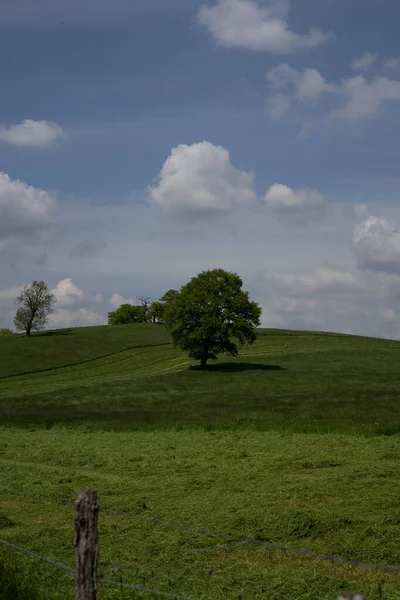 Vertikální Záběr Zelených Kopců Stromy Pod Zataženou Oblohou — Stock fotografie