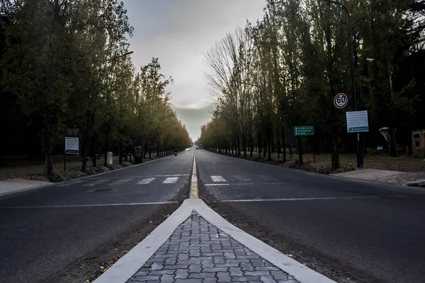 Ένας Δρόμος Γεμάτος Ψηλά Δέντρα Ξερά Φύλλα Φθινόπωρο — Φωτογραφία Αρχείου