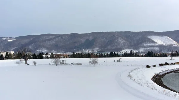Beautiful Snow Capped Field Hokkaido Island Japan Wintertime — Stock Photo, Image