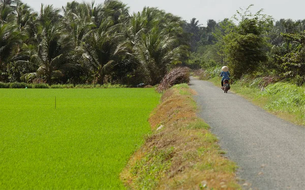 Uma Visão Traseira Uma Mulher Agricultor Montando Uma Motocicleta Através — Fotografia de Stock
