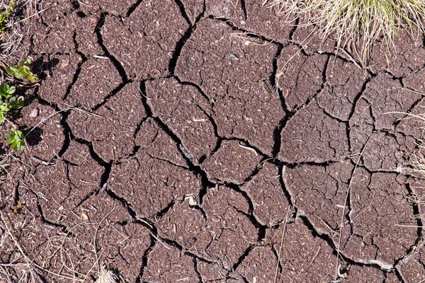 Trockener Boden Mit Rissen Sommer Österreich — Stockfoto