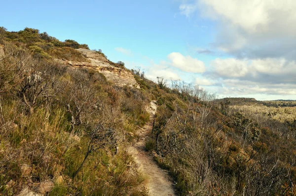 Vue Une Section Sentier Pédestre Près Lockleys Pylon Dans Les — Photo