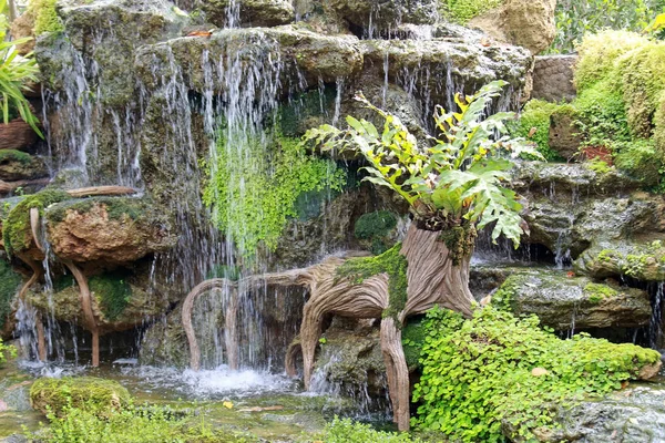 Великий Штучний Водоспад Тропічні Ландшафтні Сади Папоротями Мохом Покриті Скелями — стокове фото