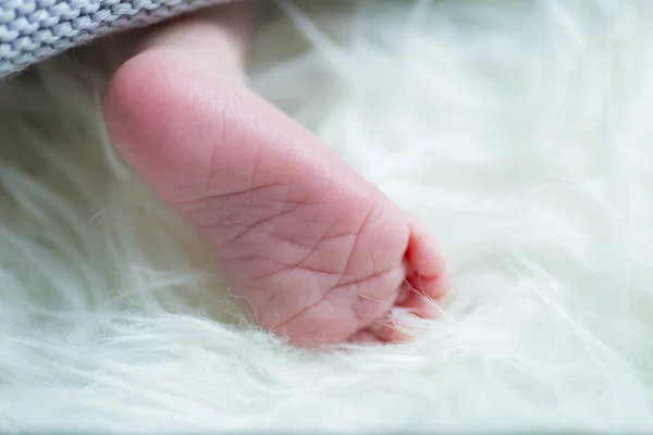 Closeup Shot Toe Cute Little Newborn Child — Stock Photo, Image