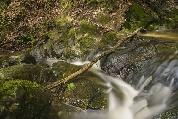 Ein Abgebrochener Ast Auf Einem Steinigen Fluss Einem Sonnigen Tag — Stockfoto