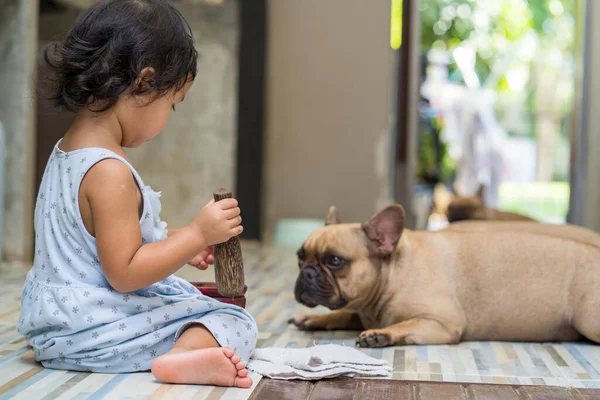 Een Klein Meisje Spelen Met Haar Mooie Franse Bulldog Thuis — Stockfoto