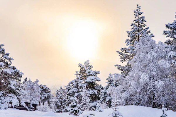 Ett Pittoreskt Vinterlandskap Stryn Norge — Stockfoto