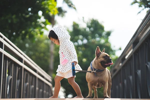 Een Close Van Een Klein Meisje Wandelen Met Haar Hond — Stockfoto