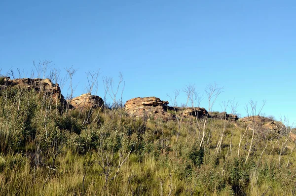 Vista Pela Butterbox Walking Trail Perto Mount Hay Nas Montanhas — Fotografia de Stock