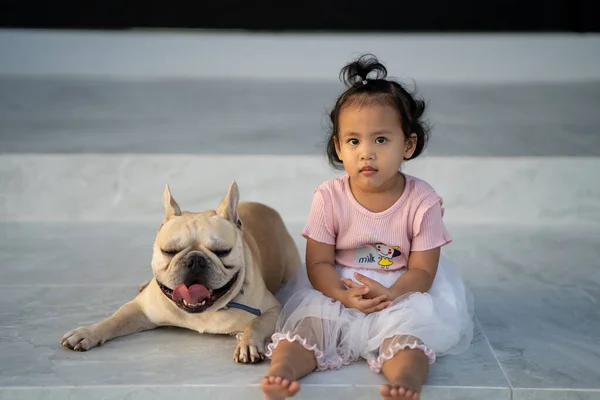 Uma Menina Asiática Bonito Seu Animal Estimação Bulldog Francês — Fotografia de Stock