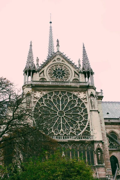 Vertikální Záběr Pařížské Notre Dame Paříži Francie — Stock fotografie