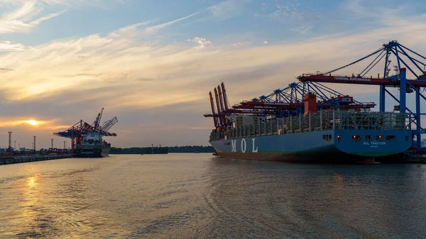 Hamburg Deutschland August 2020 Die Kräne Und Containerschiffe Hamburger Hafen — Stockfoto